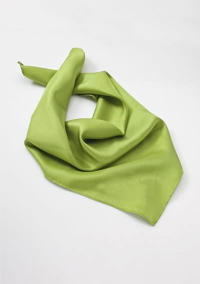Grünes Halstuch Polyester - 