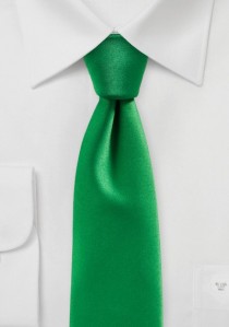 Auffallende Krawatte monochrom grün
