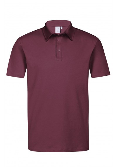 Poloshirt für Herren - Regular Fit (bordeaux) - Poloshirt für Herren - Regular Fit (bordeaux) -