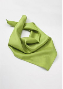 Hellgrünes Halstuch / Damen / Polyester