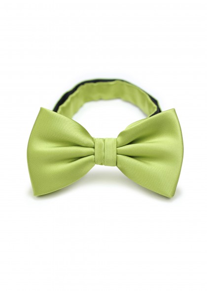 Schleife monochrom Grün Polyfaser