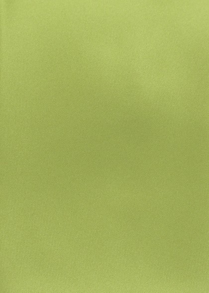 Zoomansicht Krawatte mit Clip Grün Kunstfaser